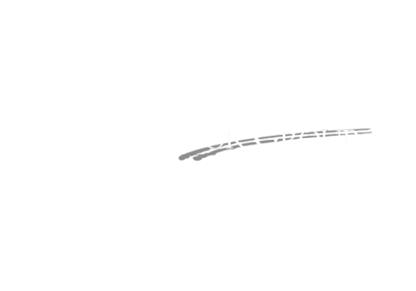 The Connor Group