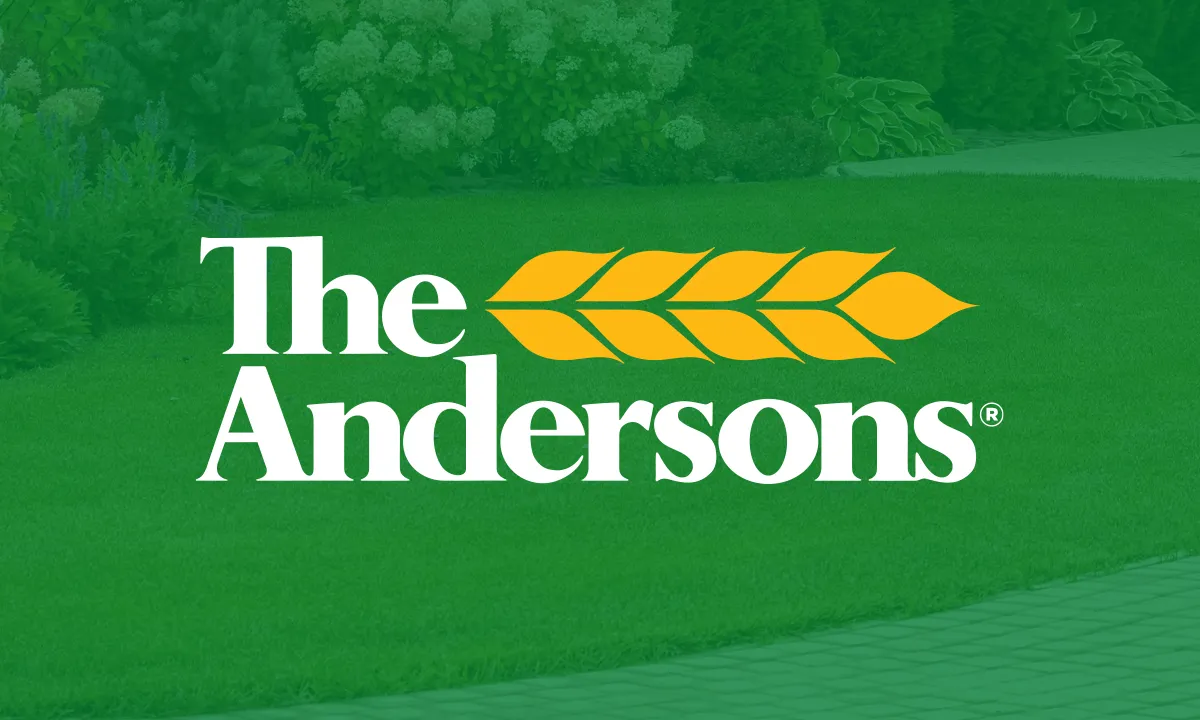 Case Study: The Andersons